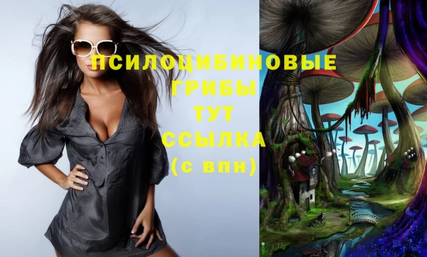 шишки Нея